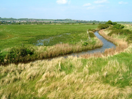 Options appraisals for Farlington Marshes