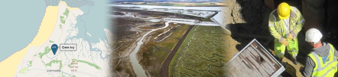 habitat-creation-collage (1)