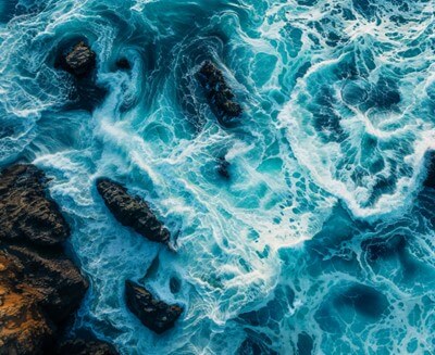 Tidal stream energy: identifying marine mammal collision risk