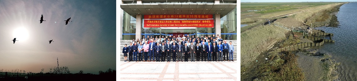 wetland-restoration-china-combined (1)