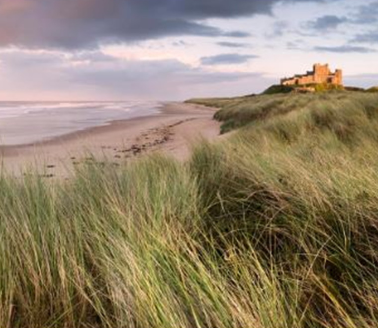 ABPmer reviews MMO s marine information system