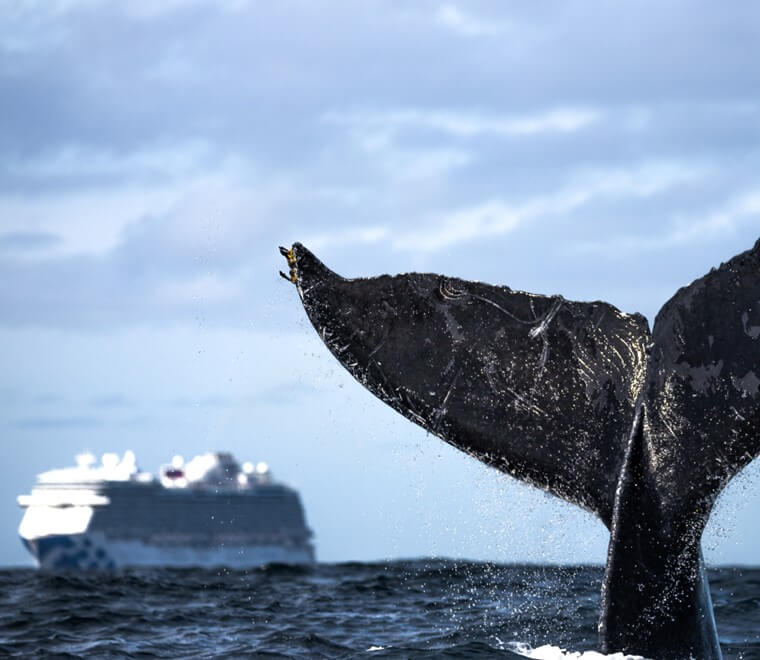 Underwater noise what are the challenges of achieving Good Environmental Status