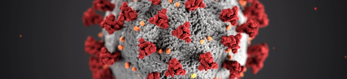 cdc-coronavirus-ultrastructural-morphology-1140 (1)