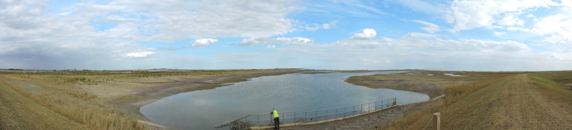 wallasea (4)