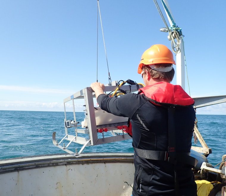 You might also like...