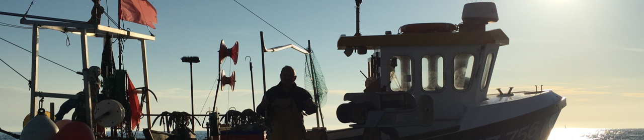 fishing-in-torbay (5)