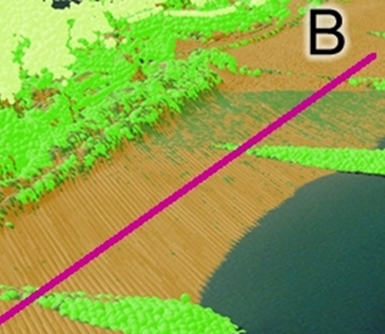 The value of point cloud data