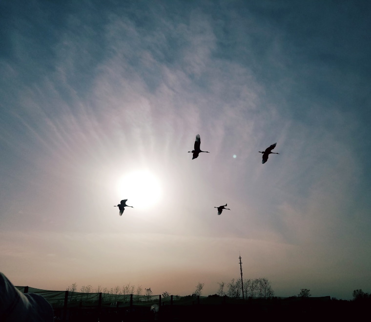 Two-way wetland restoration knowledge sharing China and UK