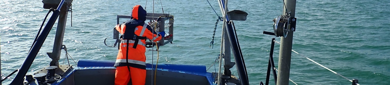 abpmer-bembridge-survey (1)