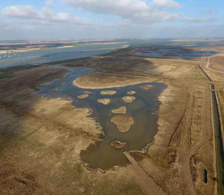 10 things you might not know about Wallasea Island Wild Coast