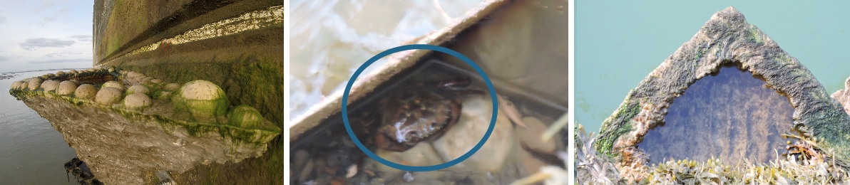 manmade-habitats (1)